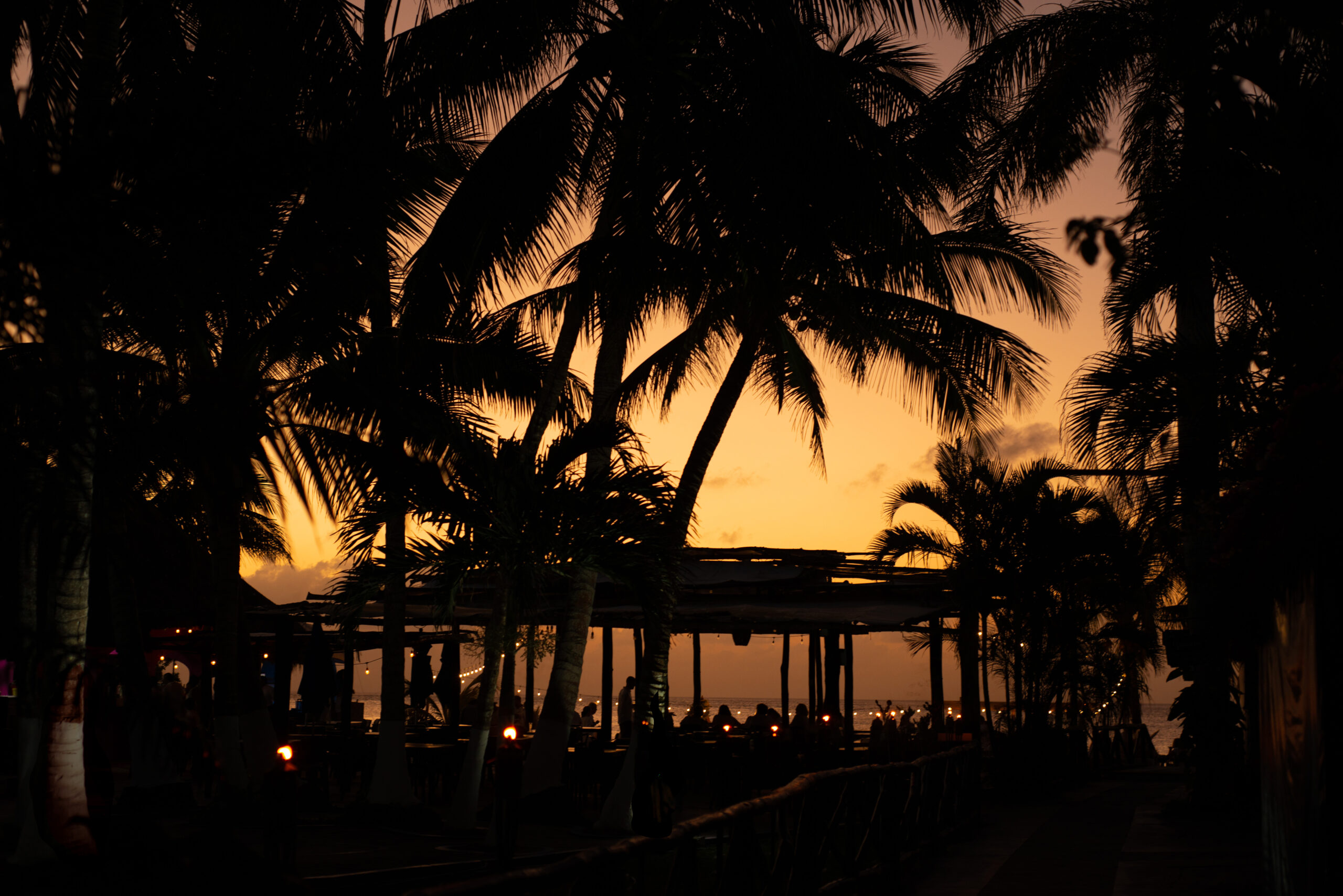 Atardecer Dorado Palmeras Y Palapa 